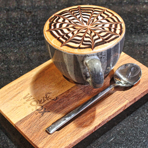  Mocha 